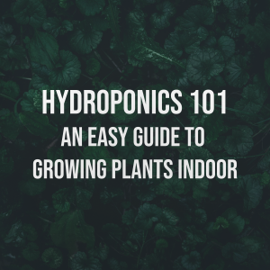 Blackburn Hydroponics 101: An Easy Guide to Growing Plants Indoor
