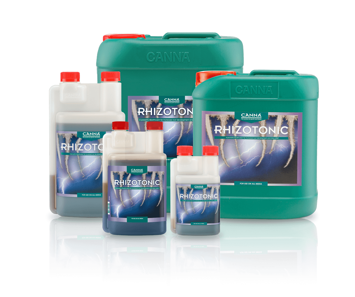 Canna Rhizotonic