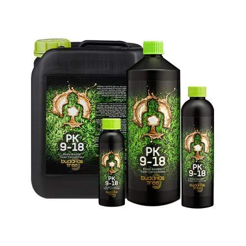 Buddhas Tree PK 9-18