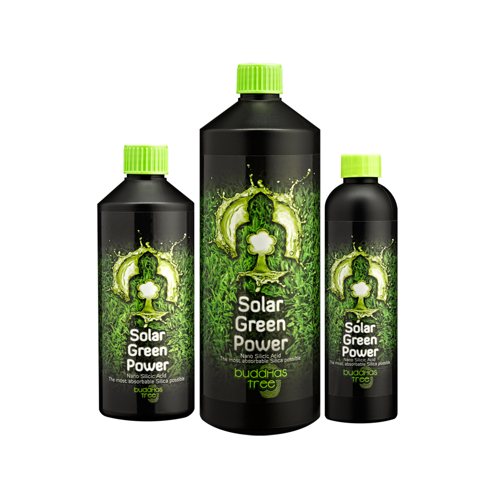 Buddhas Tree Solar Green Power
