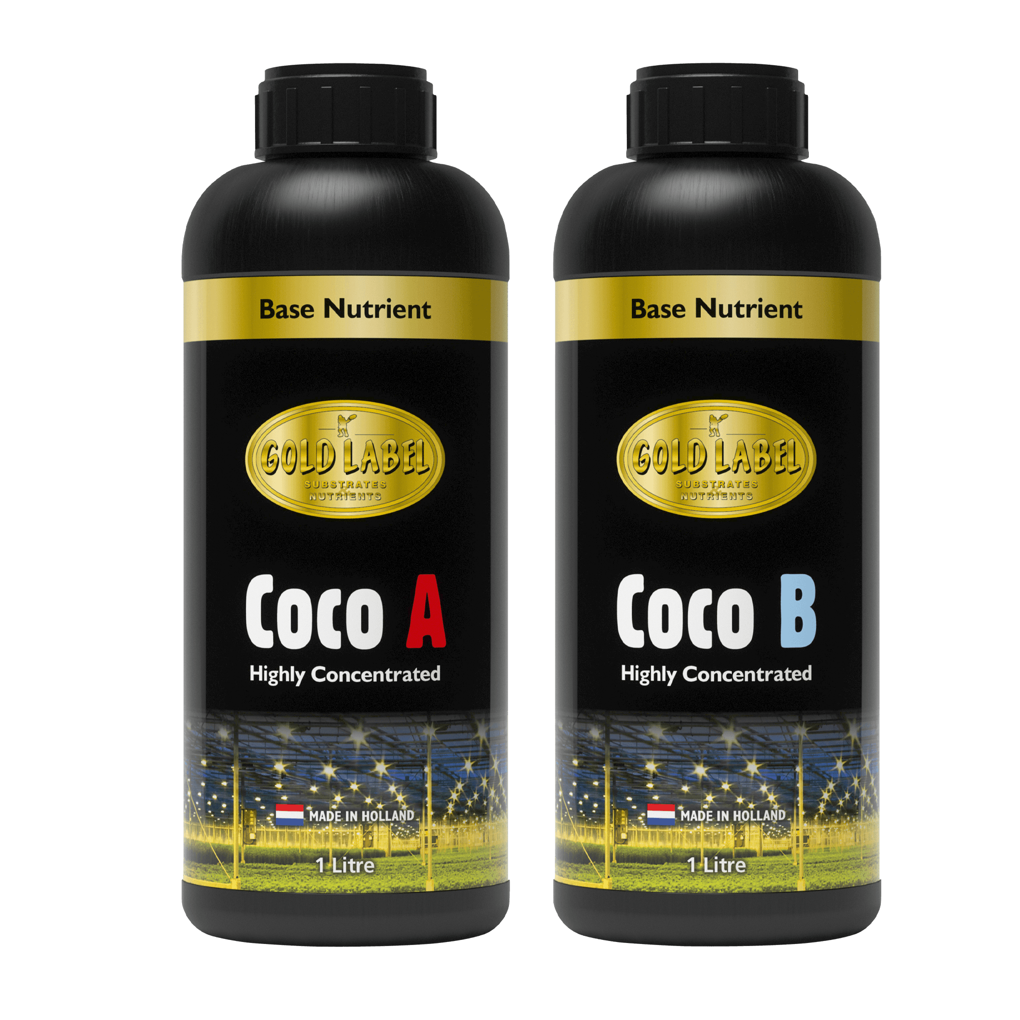 Gold Label Coco A&B