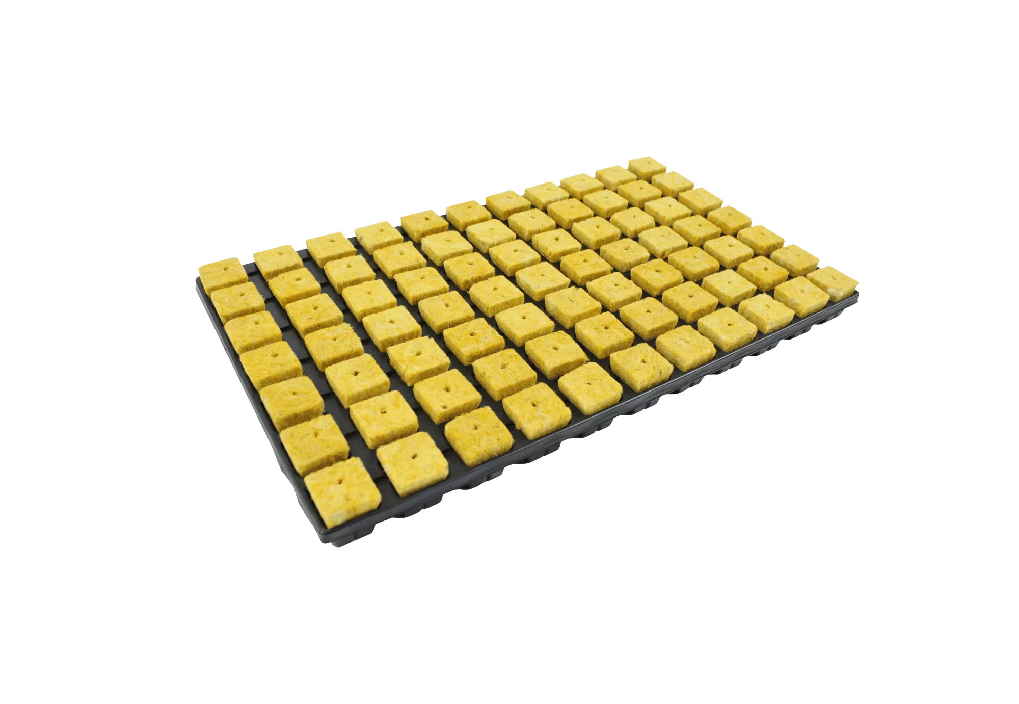 Rockwool Rooting Plug Tray